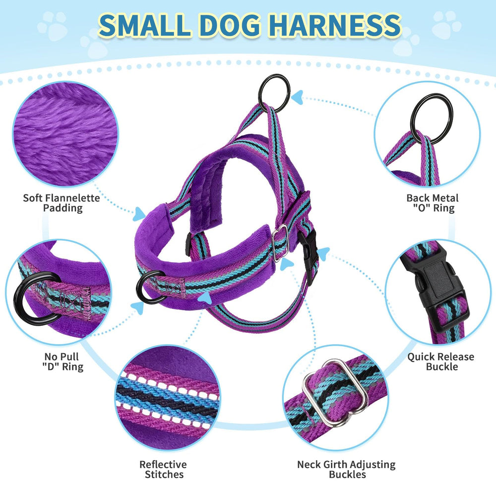 SlowTon Leash 4 ft nylon with padded handle for easy grip.