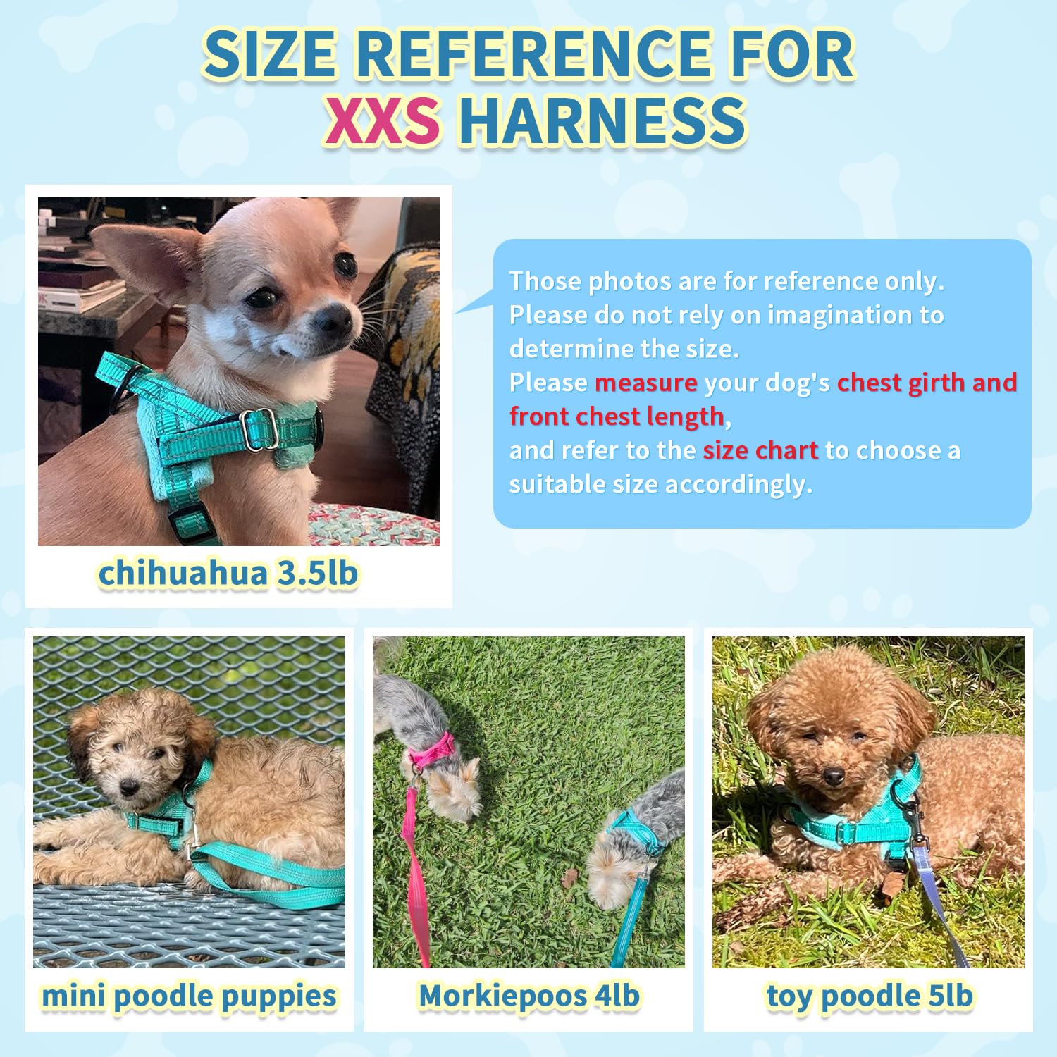 SlowTon lightweight durable harness ideal for small dogs and puppies