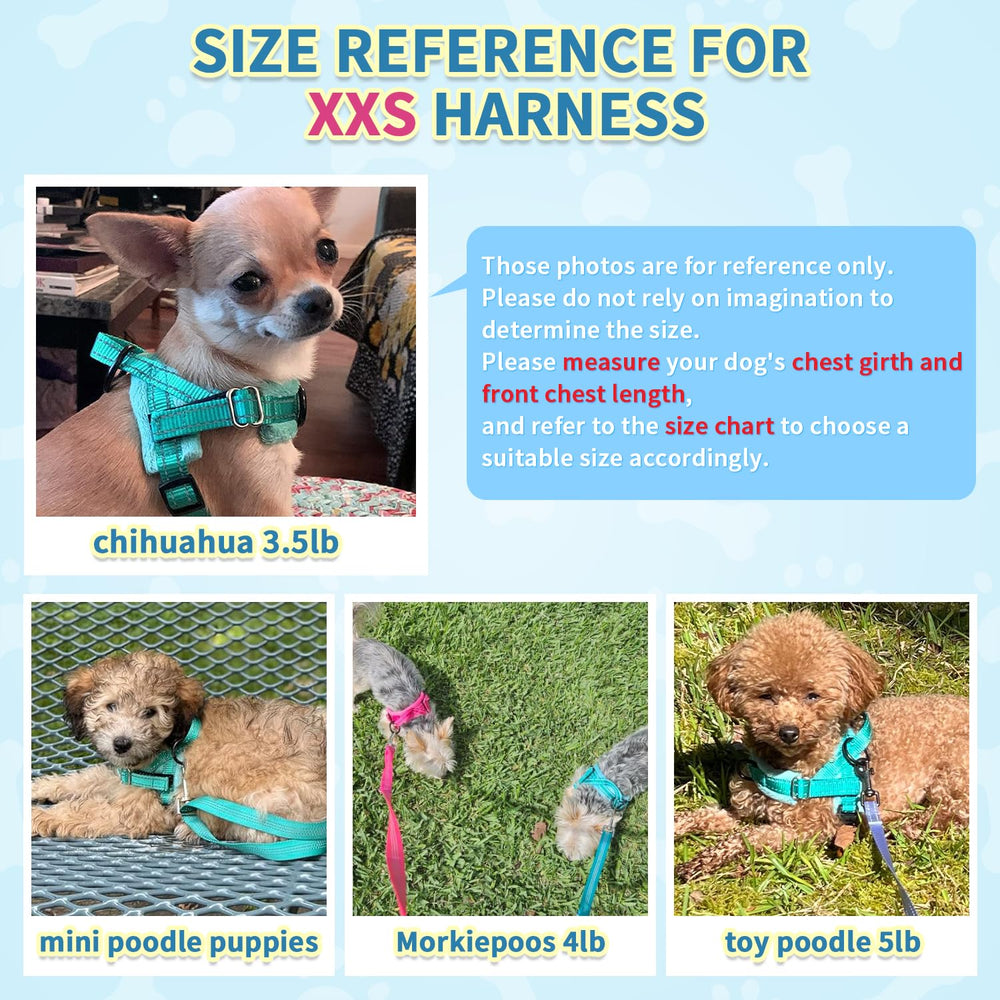 SlowTon lightweight durable harness ideal for small dogs and puppies