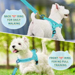 SlowTon Lightweight Harness ideal for small dogs during daily strolls.