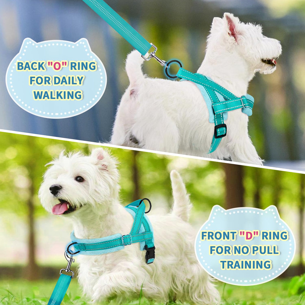 SlowTon adjustable neck and chest straps shown for comfortable sizing