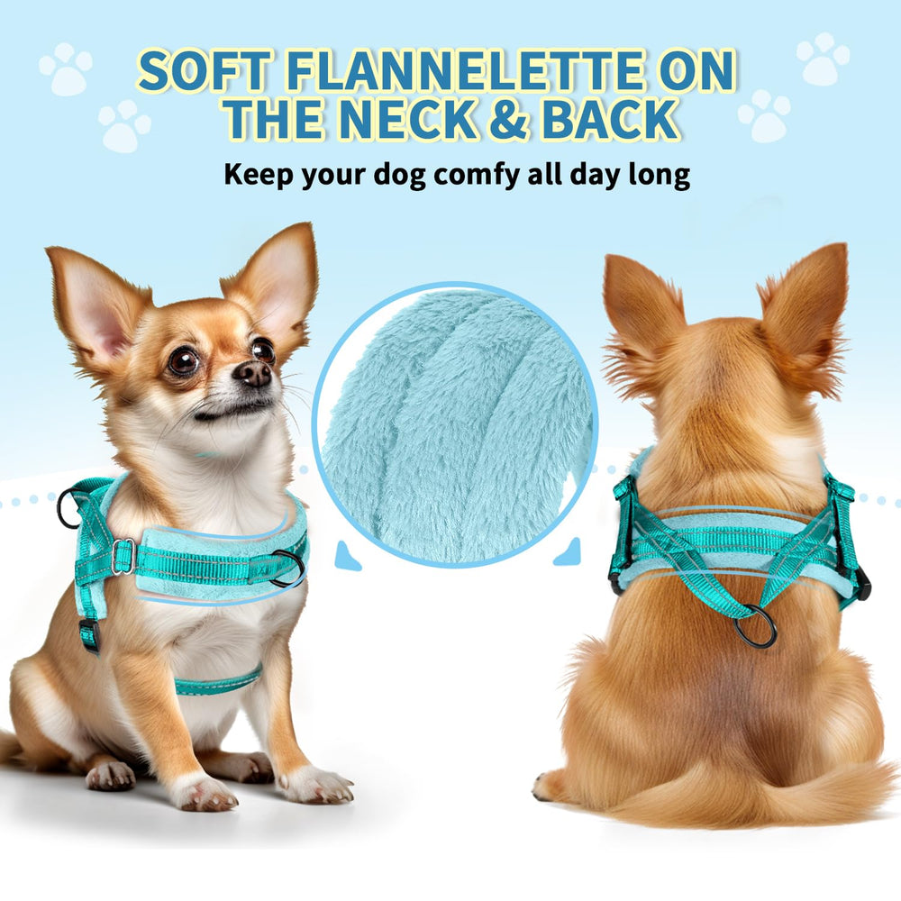 SlowTon no-pull harness back-clip shown for daily walks