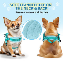 SlowTon no-pull harness back-clip shown for daily walks