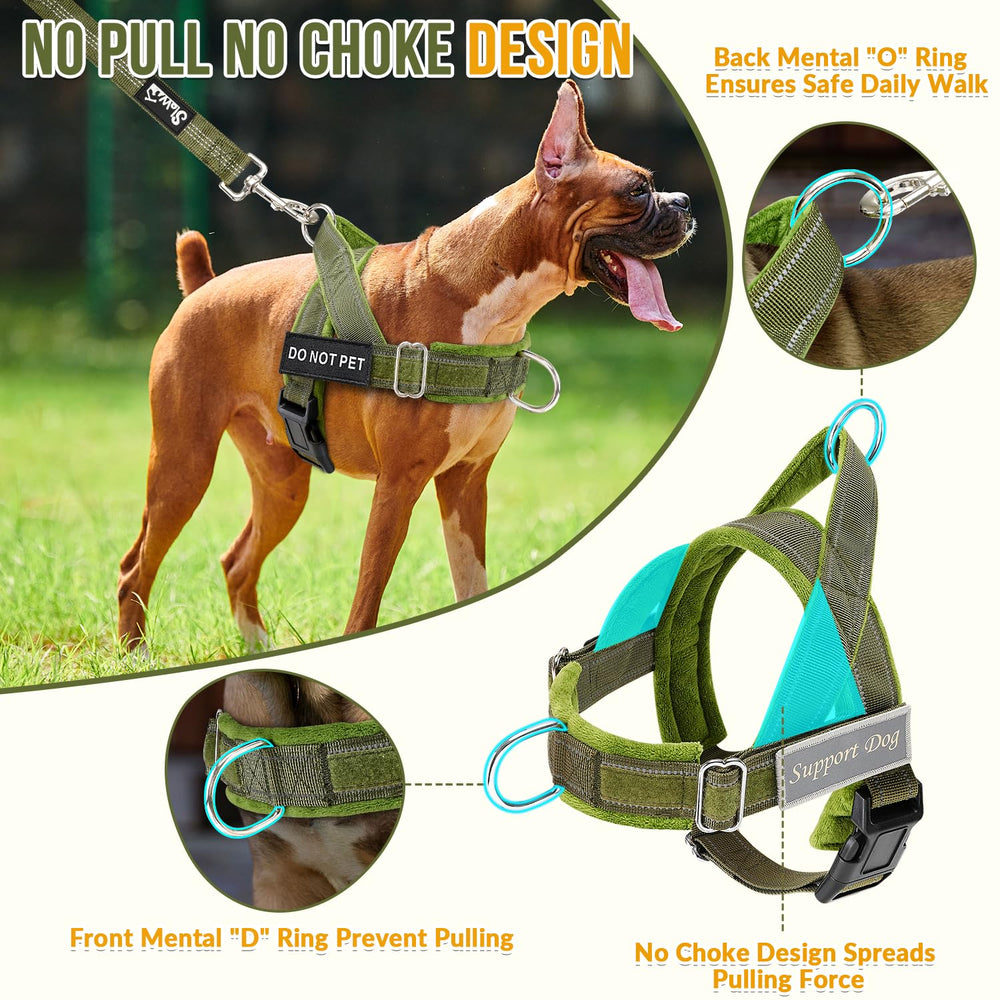 SlowTon No Pull Harness with back clip for everyday walks.