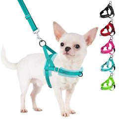 SlowTon no-pull harness front-clip on small dog for smoother walks