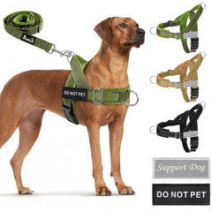 SlowTon No Pull Harness with front clip for training and control.