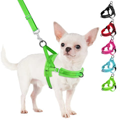 SlowTon no-pull harness front clip supports calmer, controlled walks