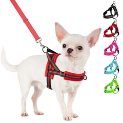 SlowTon no pull harness with front clip for smoother, pull-free walks.