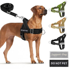SlowTon No Pull Harness with front D-ring for training and control.