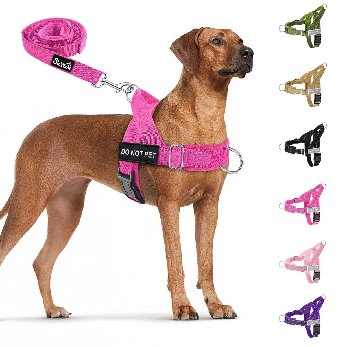 SlowTon No Pull Harness front view for comfortable daily walks.