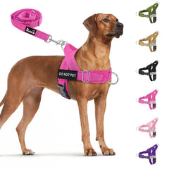 SlowTon No Pull Harness front view for comfortable daily walks.