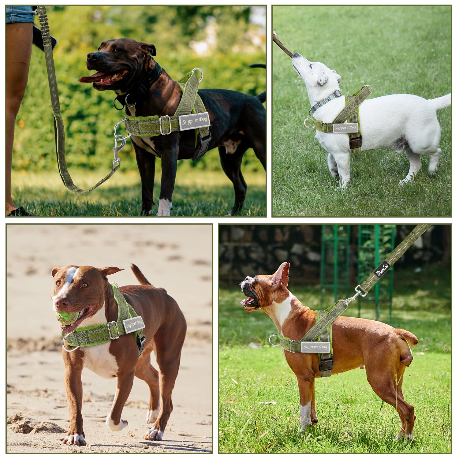 SlowTon No Pull Harness made of heavy-duty nylon for durability.