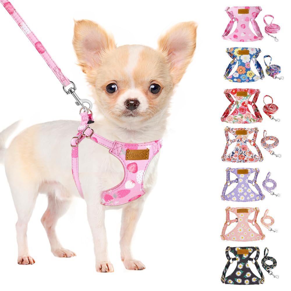 SlowTon No Pull Harness Pink Strawberry XXS worn by a tiny dog during a walk for gentle daily use