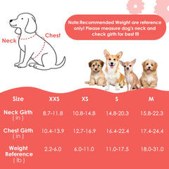 SlowTon no-pull harness with leash for easy daily walks.