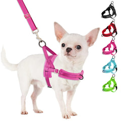 SlowTon no-pull harness for small dogs, overview of comfortable fit and walking ease