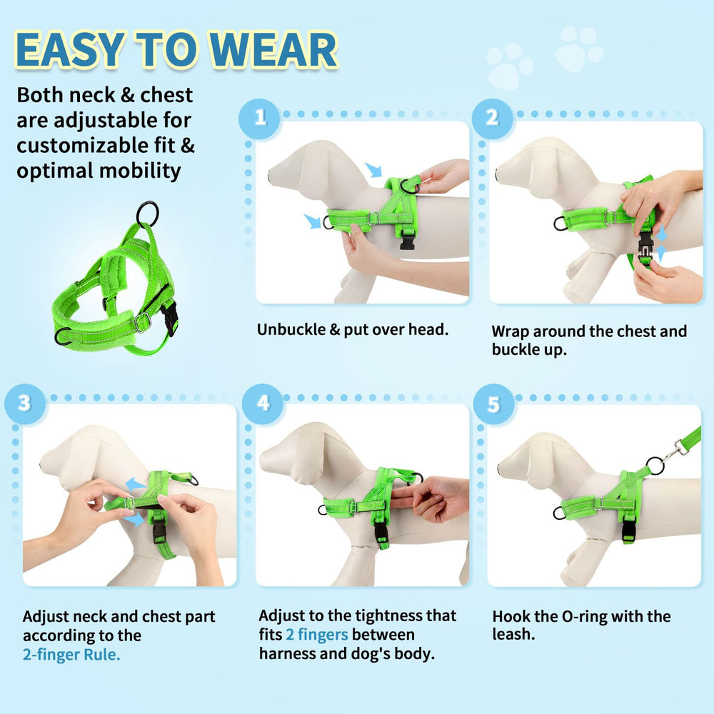 SlowTon padded-handle leash ensures comfortable grip on long walks