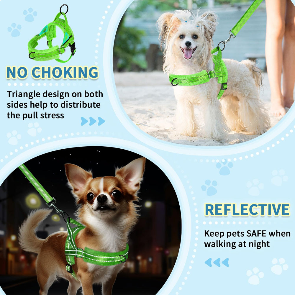 SlowTon puppy soft-vest harness provides gentle support for small dogs