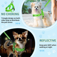 SlowTon puppy soft-vest harness provides gentle support for small dogs