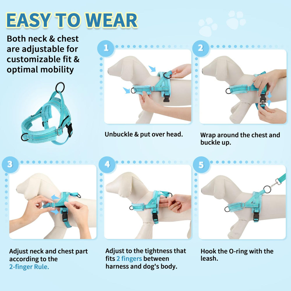 SlowTon Small dog walking kit supports safe, confident outings.