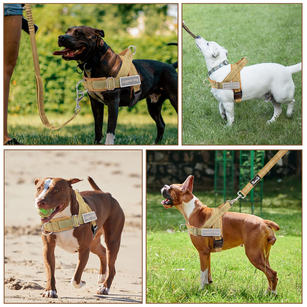 SlowTon tangle-free strap system with reflective elements for safety