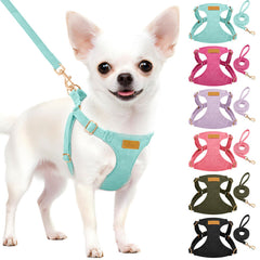 SlowTon XXS dog harness in light blue, front view, ultra-light comfort