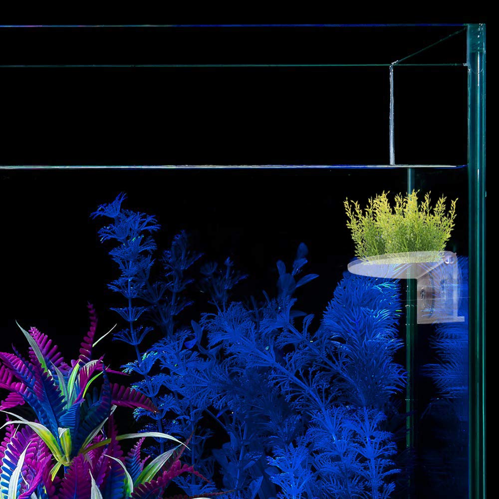 SLSON dimensions 6.1 by 4.3 inches ledge fits compact tanks