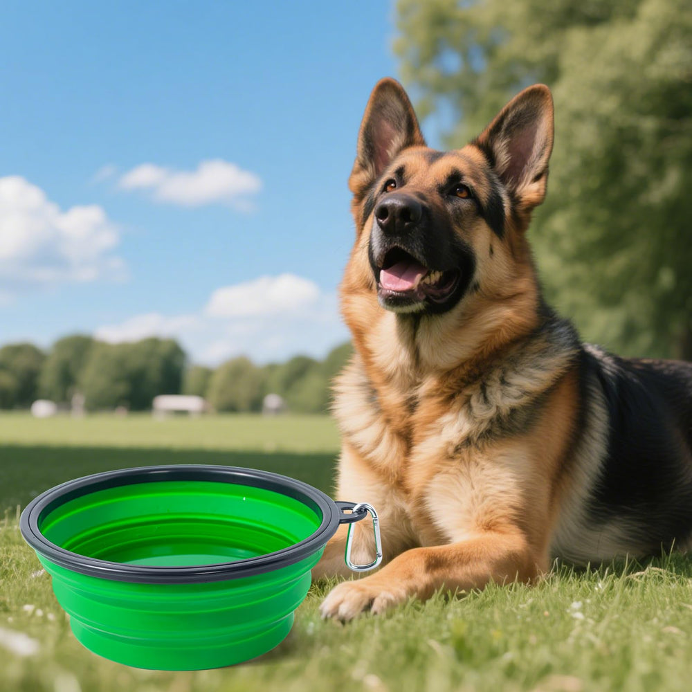 Dishwasher-safe SLSON bowls are easy to clean after outings.