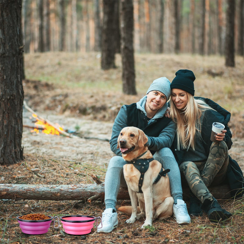 SLSON large collapsible dog bowl expanded and ready to hold water in pink