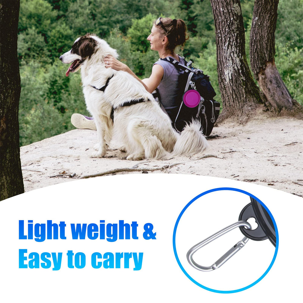 SLSON large collapsible dog bowl expanded in purple for on-the-go feeding