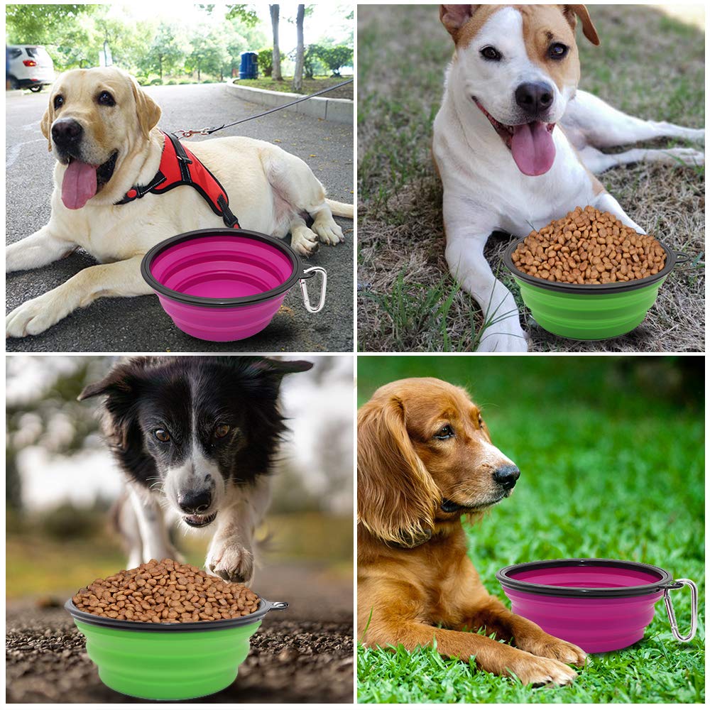 SLSON green and purple bowls color-code food and water.