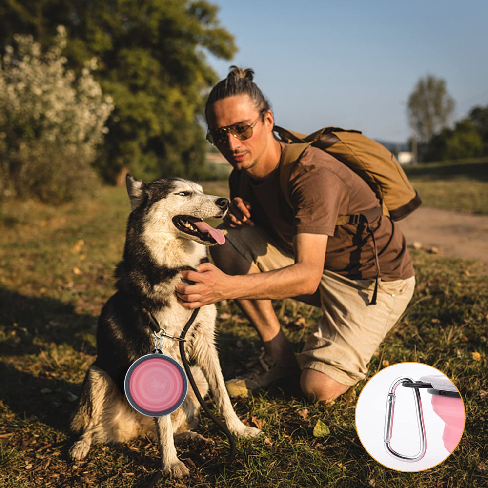SLSON large 34oz bowl suitable for big breeds on trips.