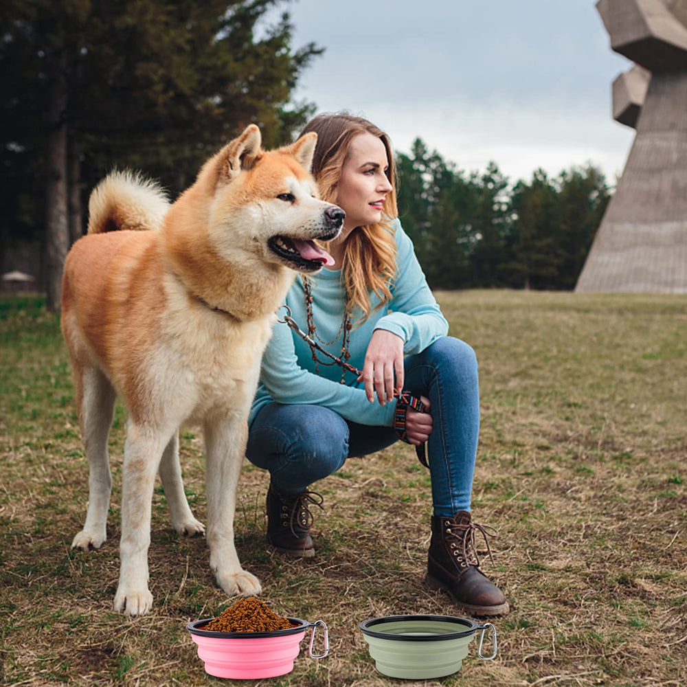 SLSON medium 22oz bowl for mid-sized dogs during travel.
