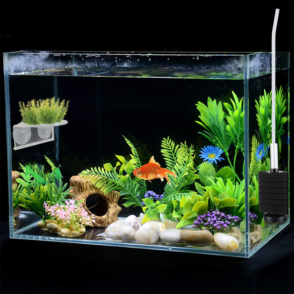 SLSON plant substrate holder keeps aquascape tidy and organized