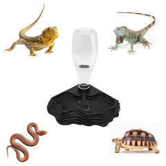 SLSON reptile water feeder side angle shows stable base and corner fit