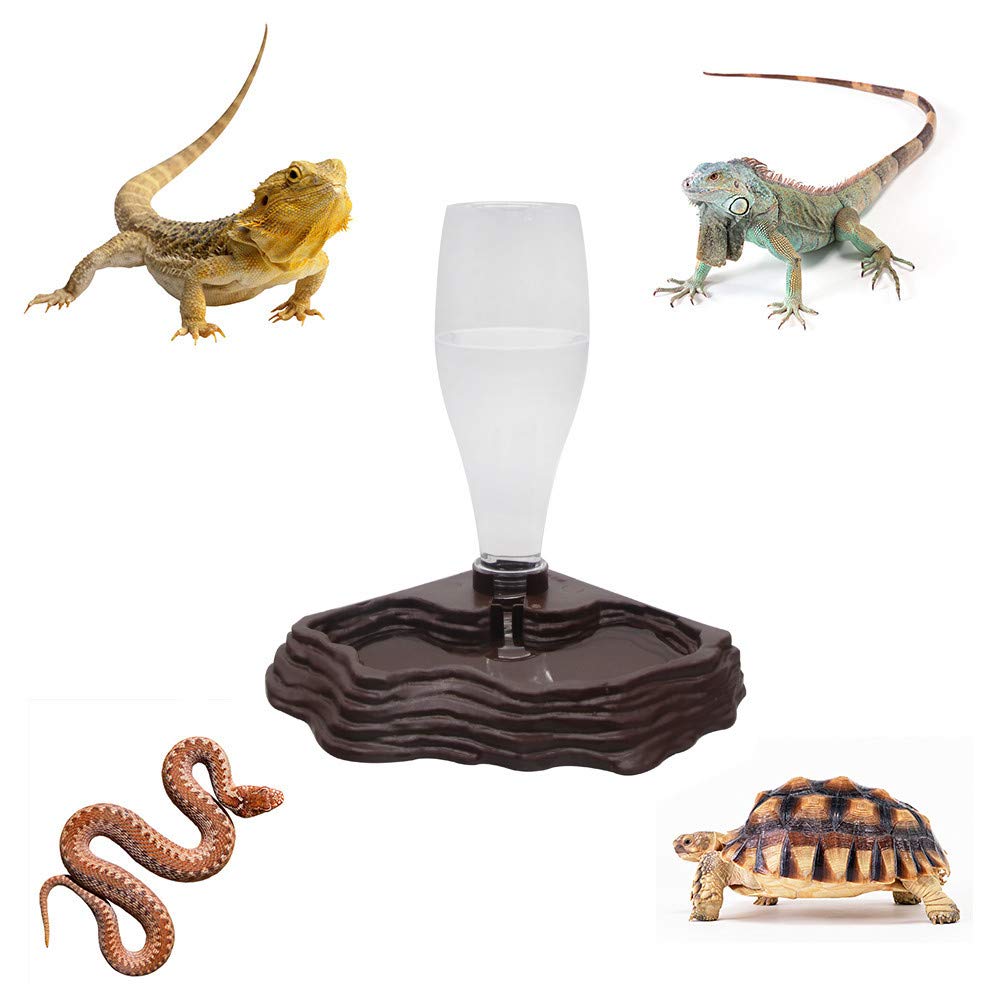 SLSON water feeder top bottle removable for easy refilling and cleaning.