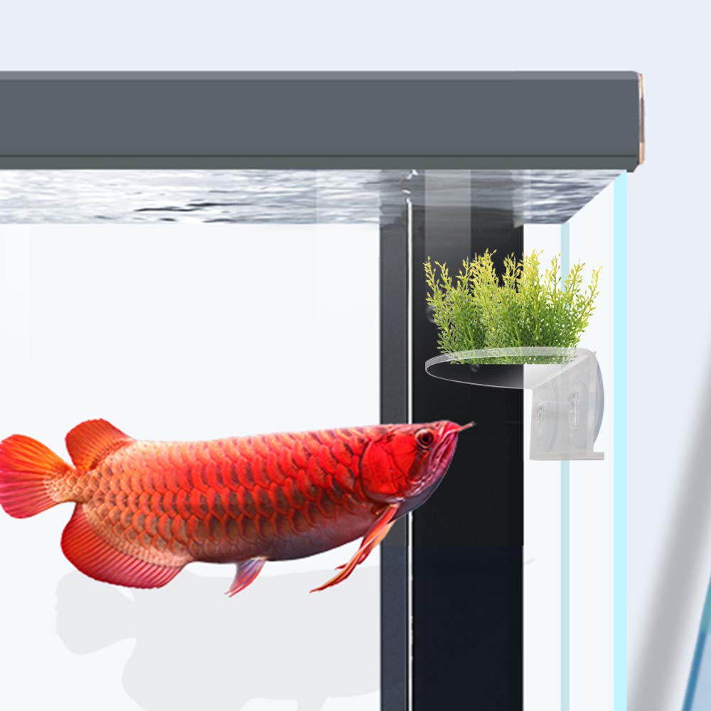 SLSON suction cups strong 4-pack secure tank decorations safely