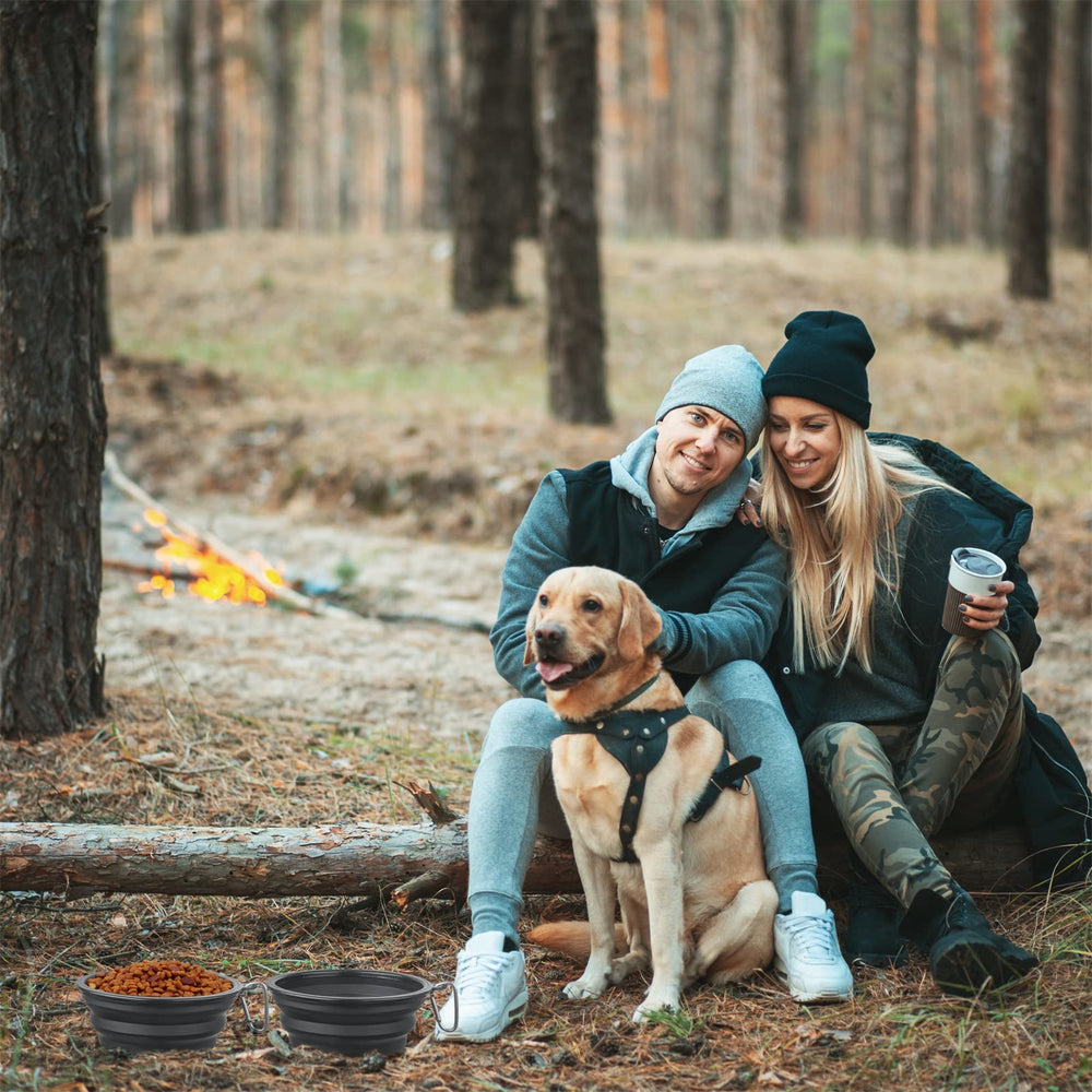 SLSON two-pack collapsible bowls with carabiners for travel
