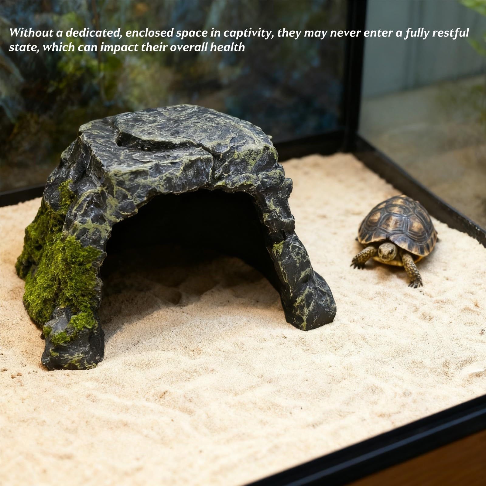 SLWHYZL tank accessory resin hide supports stress-free retreat and better enclosure dynamics