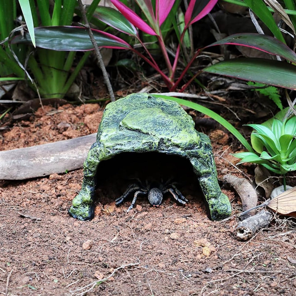 SLWHYZL territory-establishment hideout enables peaceful coexistence among multiple species
