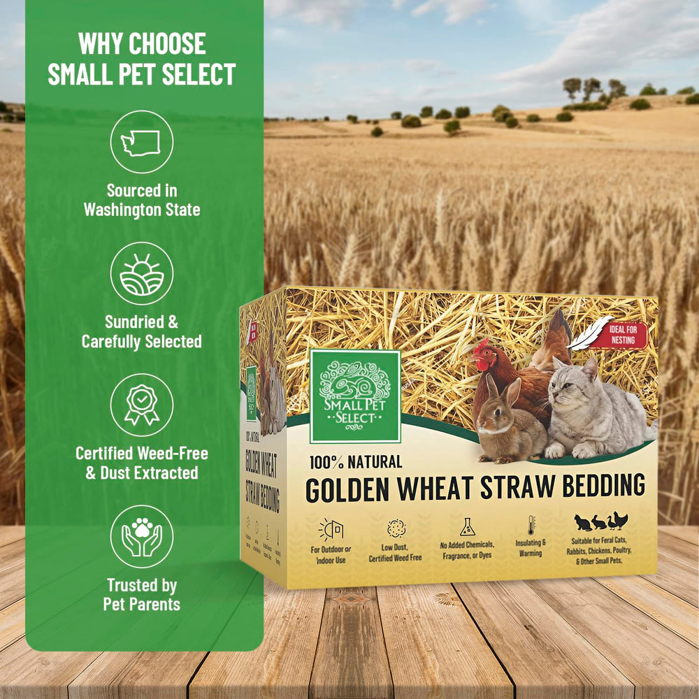Small Pet Select 8 lb bag USA-made