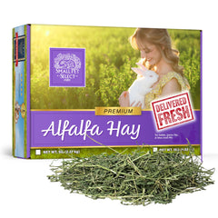 Small Pet Select alfalfa hay box front, fresh and nutrient-rich for growing pets.