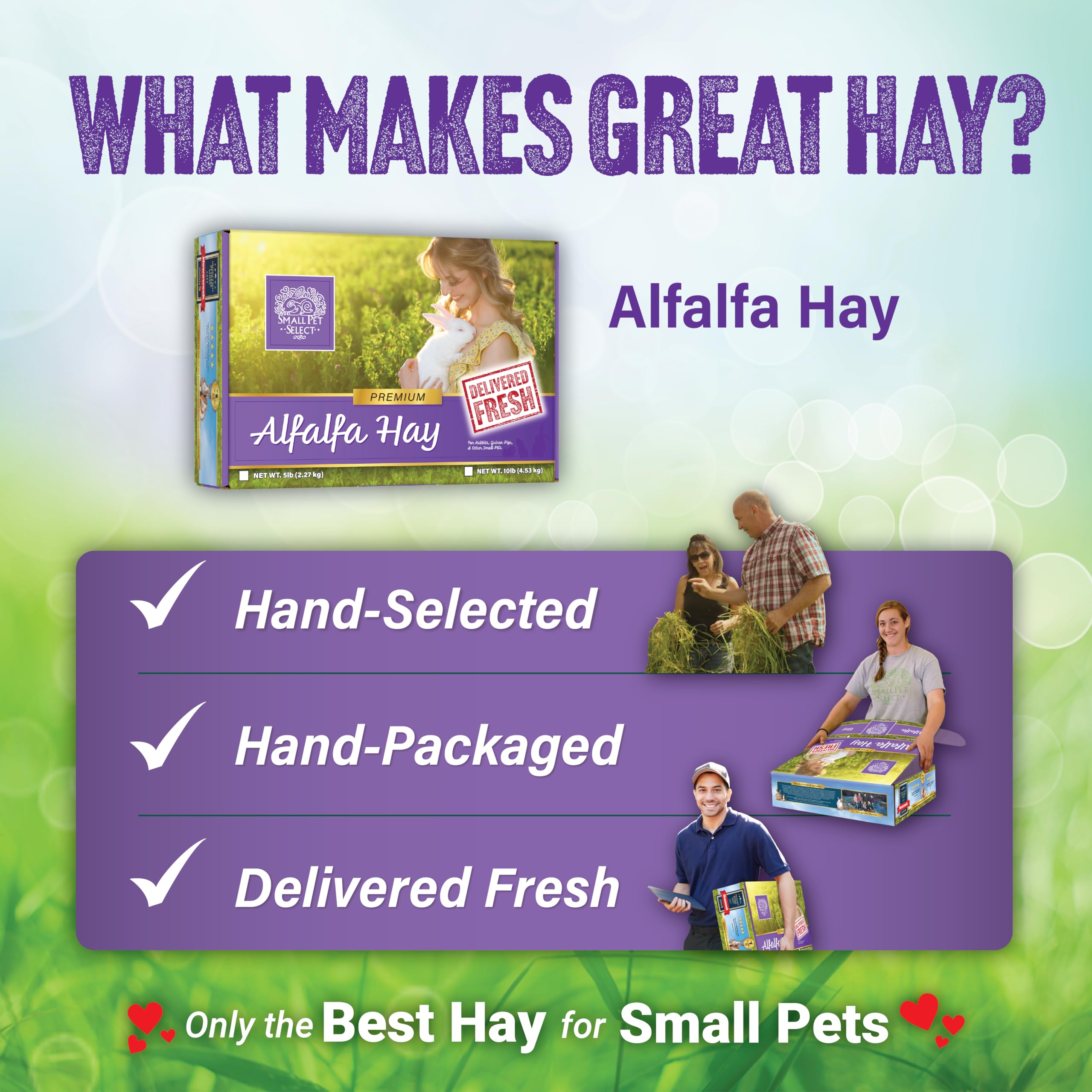 Small Pet Select alfalfa hay daily-delivery box supports routine feeding.
