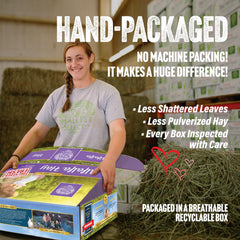 Small Pet Select alfalfa hay hand-packed box preserves leaf integrity and aroma.
