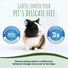 Small Pet Select bedding demonstrates natural odor control, keeping the enclosure fresher between cleanups.