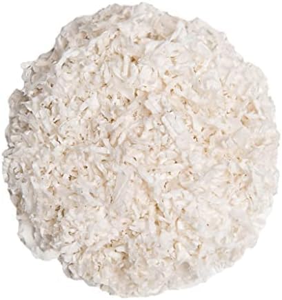 Clean habitat for small animals using Small Pet Select white paper bedding.