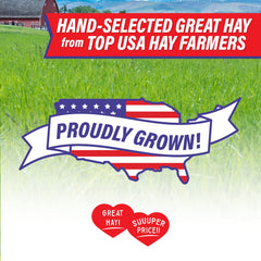Small Pet Select fiber-rich hay supports gut health for small pets