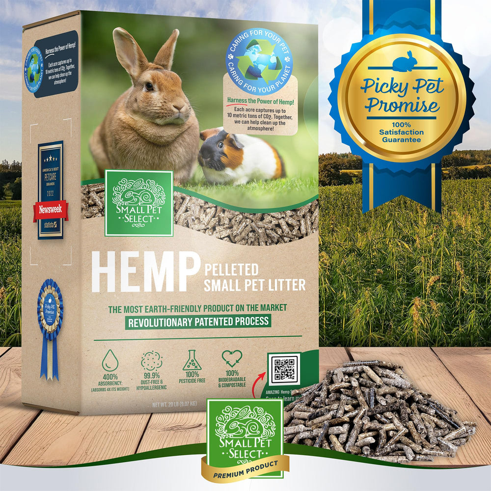 Small Pet Select bedding in a tidy habitat promoting a safer, healthier small-pet home