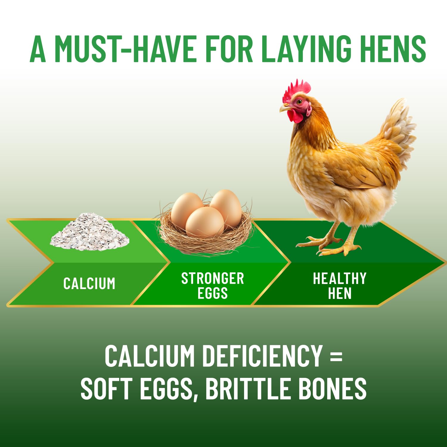 Small Pet Select oyster shell calcium supports stronger eggshells and overall poultry health.