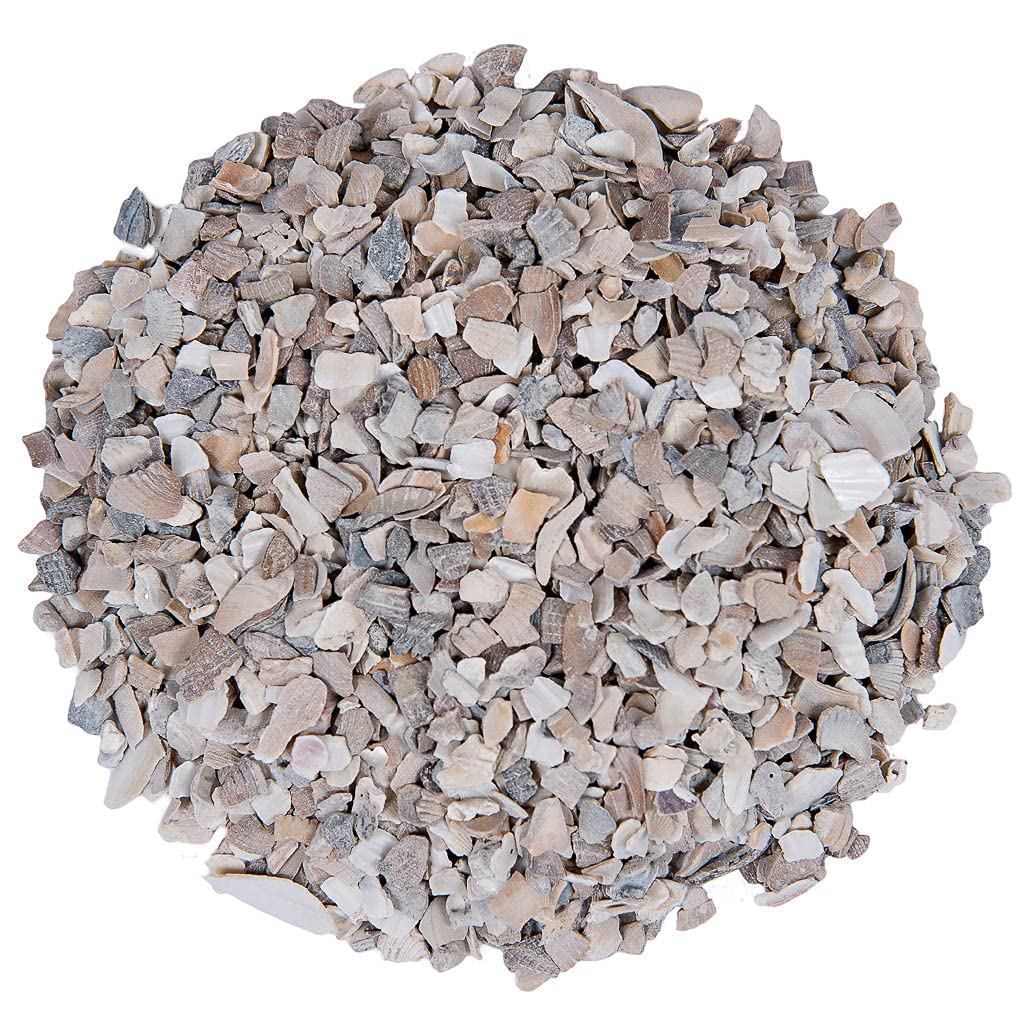 Small Pet Select egg-shell detail flakes closeup illustrates calcium availability for stronger shells.