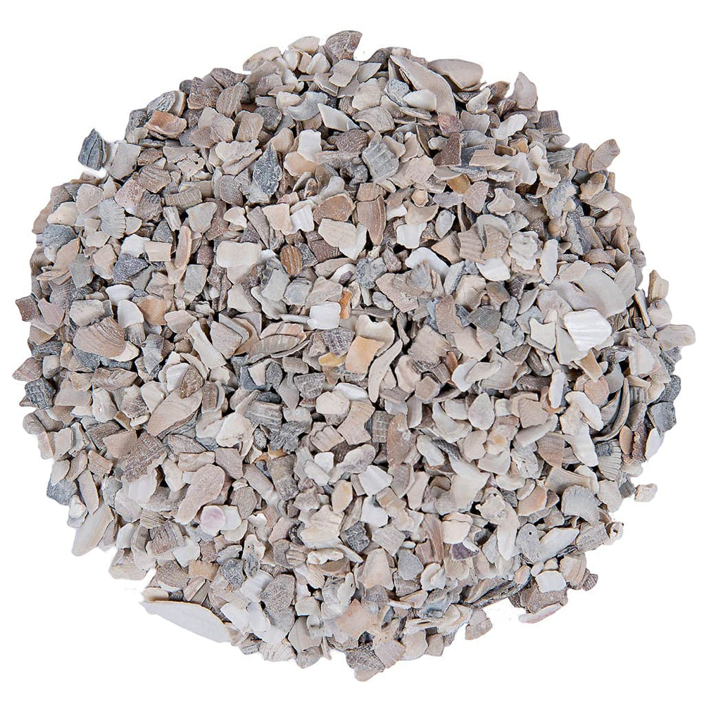 Small Pet Select egg-shell detail flakes closeup illustrates calcium availability for stronger shells.